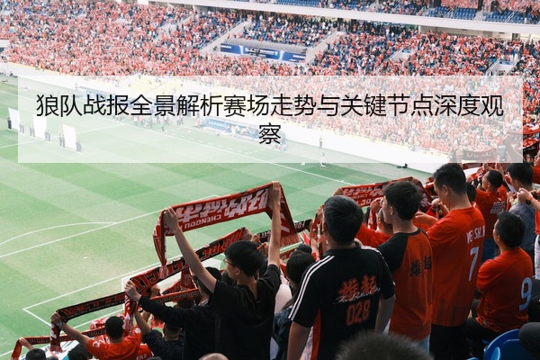 狼队战报全景解析赛场走势与关键节点深度观察