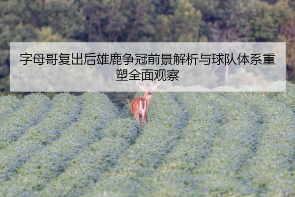 字母哥复出后雄鹿争冠前景解析与球队体系重塑全面观察