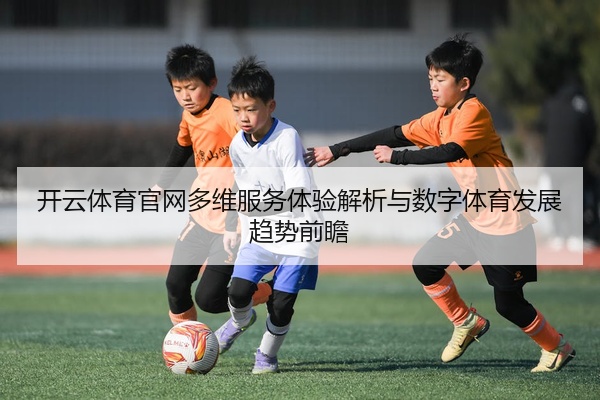 开云体育官网多维服务体验解析与数字体育发展趋势前瞻