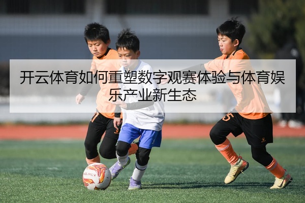 开云体育如何重塑数字观赛体验与体育娱乐产业新生态